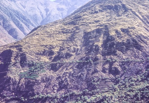 Ancient Incan Terraces in Rimac Valley 2 of 2