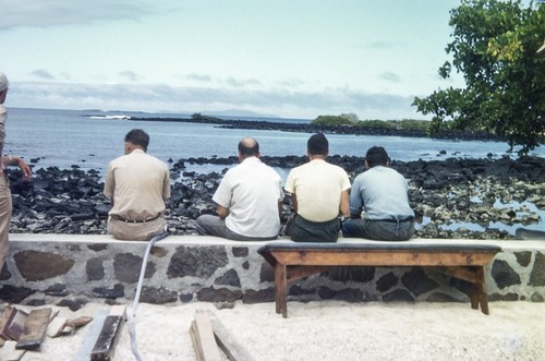 Shellback Expedition - Galapagos Islands - Isla Santa Cruz (From Front Steps of Divine's House)