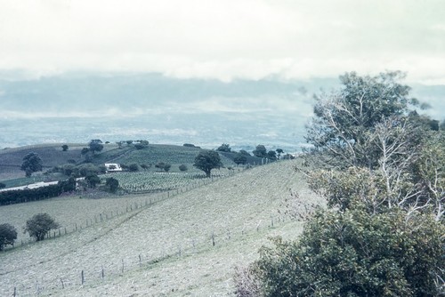 Upland slopes on side of Irazú volcano 2 of 3