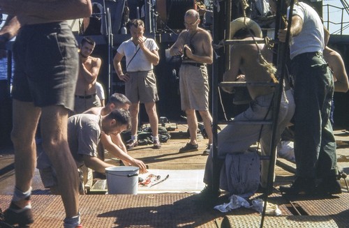 Midwater Trawl Specimens