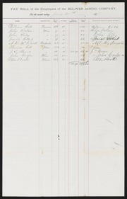 Bulwer Mining Co., Payroll and Statements, 1877/1879