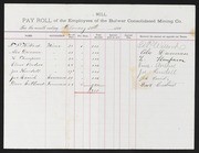 Bulwer Consolidated Mining Co. Payroll, 1885/1889