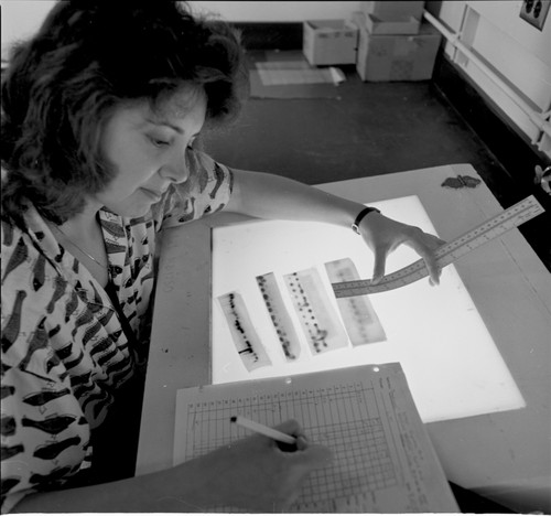 Carol A. Stepien working in Fish Collection Laboratory