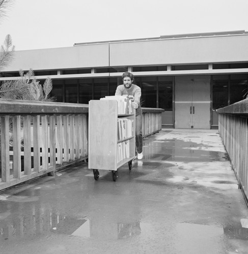 Library assistant moving the Hubbs Library from the Marine Biology Building to the Eckart Building