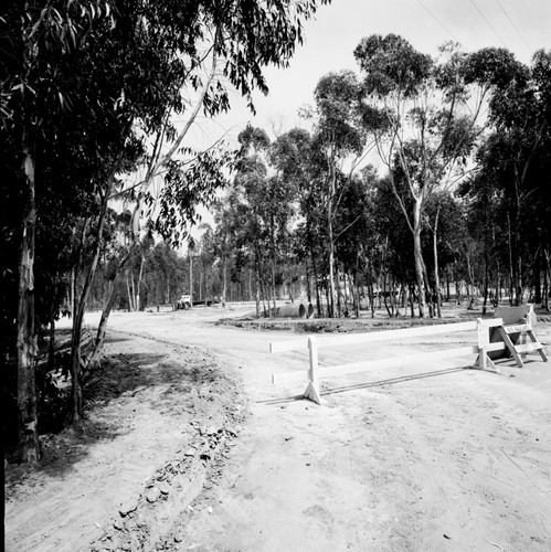 Gilman Drive construction, Muir College, UC San Diego