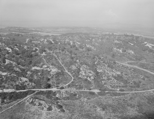 Aerial view of Torrey Pines State Reserve, La Jolla