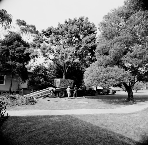 Boxed tree prepared for planting, UC San Diego