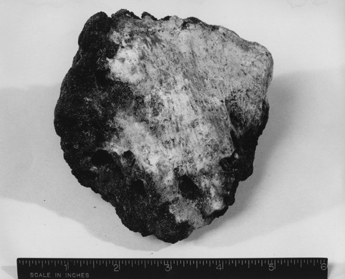 Coral rock sample