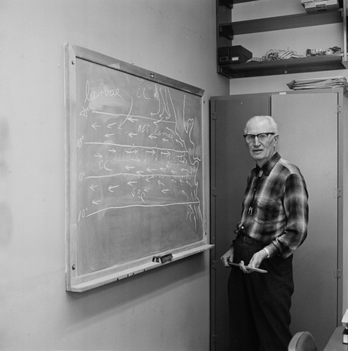 Martin W. Johnson at blackboard, Scripps Institution of Oceanography