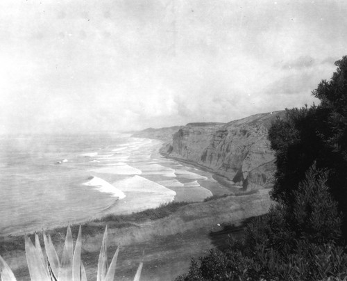 View of La Jolla cliffs and coastline from the porch of F.B. Sumner’s cottage, Scripps Institution of Oceanography