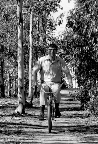 Paul D. Saltman riding bicycle, Revelle College, UC San Diego