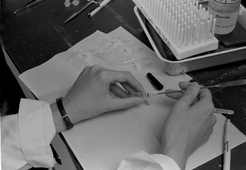 Carol A. Stepien working in Fish Collection Laboratory