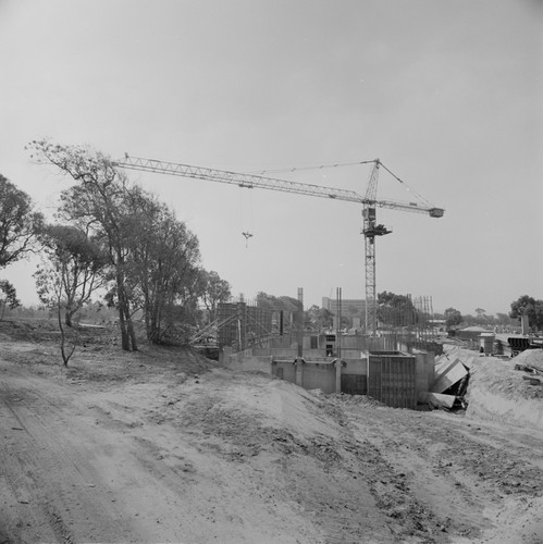 Construction on the campus of UC San Diego