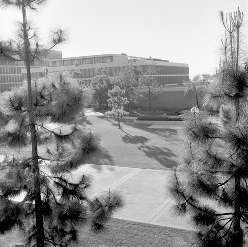 Revelle Plaza, UC San Diego