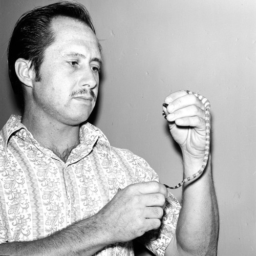 Walter W. Schneider holding a sea snake in the Thomas Wayland Vaughan Aquarium-Museum