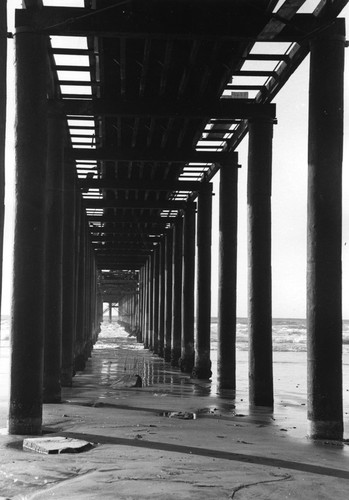 Scripps Pier, Scripps Institution of Oceanography