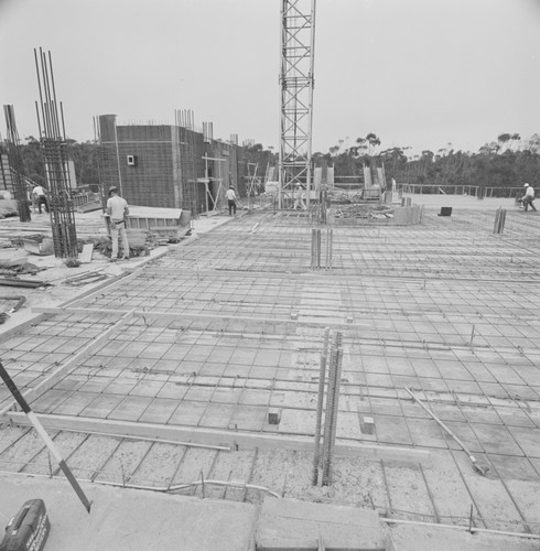 Rebar and concrete detail, construction of Geisel Library, UC San Diego