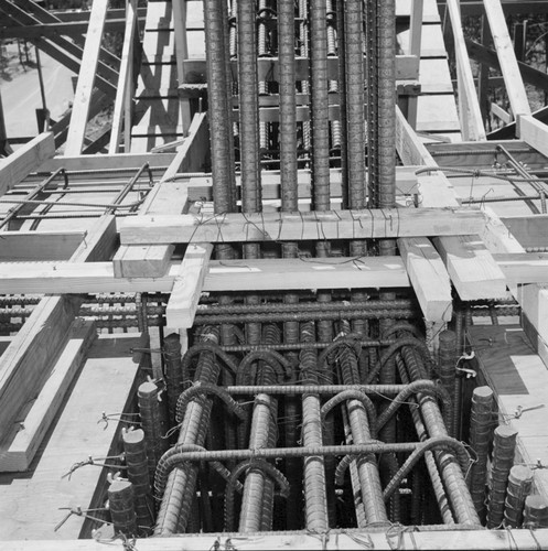 Rebar detail, construction of Geisel Library, UC San Diego