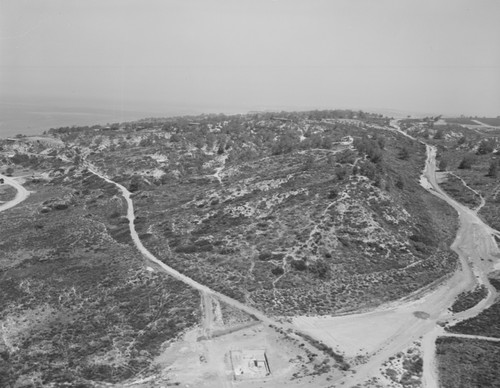 Aerial of Torrey Pines State Reserve, La Jolla