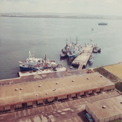 Aerial view of the Chester W. Nimitz Marine Facility and Scripps Institution of Oceanography fleet, Point Loma, San Diego, California