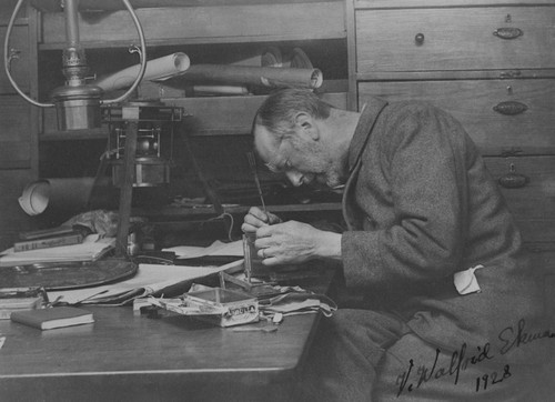 Vagn Walfrid Ekman working in laboratory