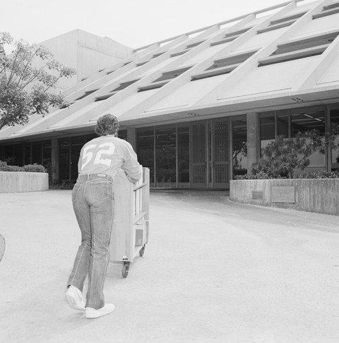 Library assistant moving the Hubbs Library from the Marine Biology Building to the Eckart Building