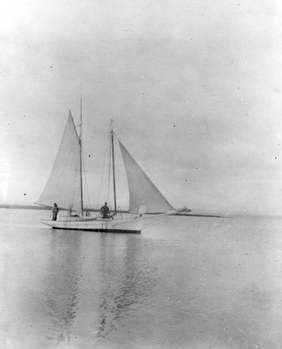 Laura (Schooner) rented by the Marine Biological Association of San Diego