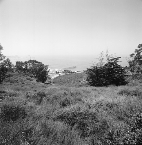 Aquarium site overlooking Scripps Institution of Oceanography