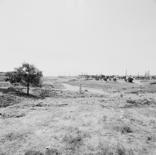 Camp Matthews south-east landfill and Building 352 , UC San Diego