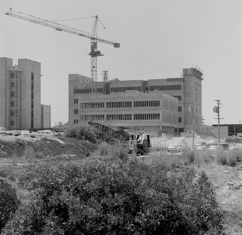 Muir College building construction, UC San Diego