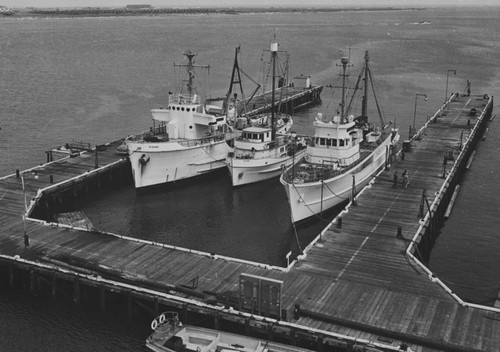 Research vessels Spencer F. Baird, Horizon, and Crest