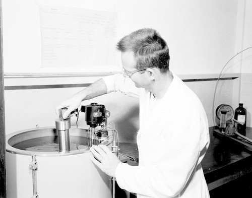 Carl Oppenheimer placing hydrostatic pressure receptacle in constant temperature bath