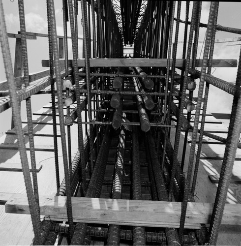 Rebar detail, construction of Geisel Library, UC San Diego