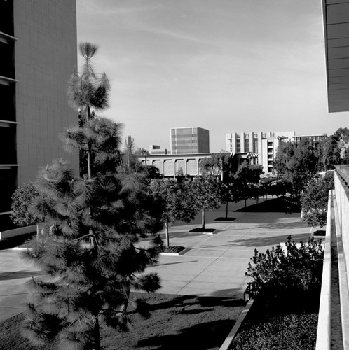 Revelle Plaza, UC San Diego