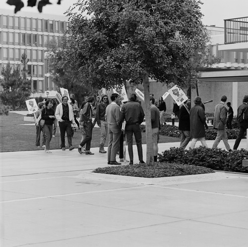 Student strike demonstration, Revelle Plaza, UC San Diego