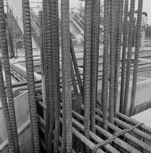 Rebar in Geisel Library construction, UC San Diego