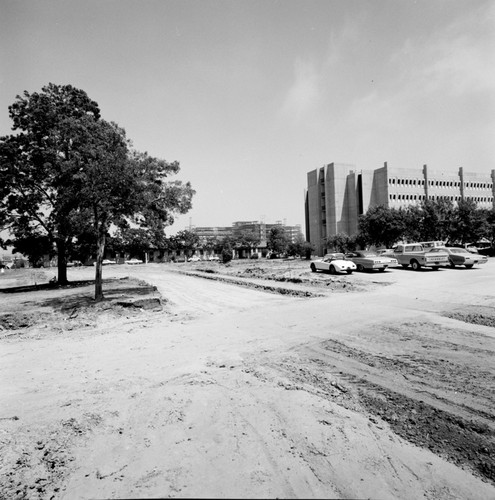 Construction of Gilman Drive on Muir campus, UC San Diego