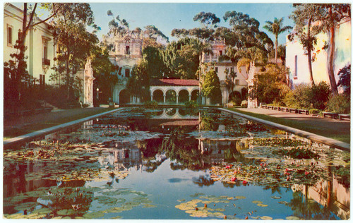 Lily Pond, Balboa Park