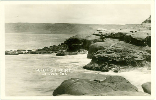 Gold Fish Point, La Jolla, California