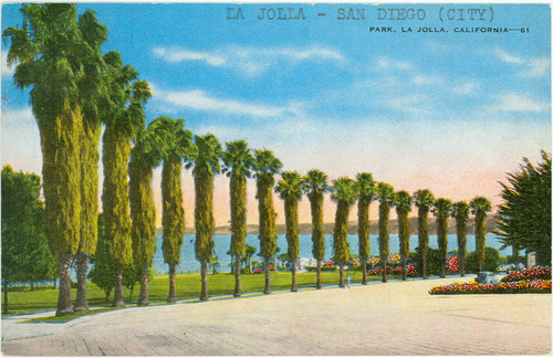 Park, Palm Trees, La Jolla, California