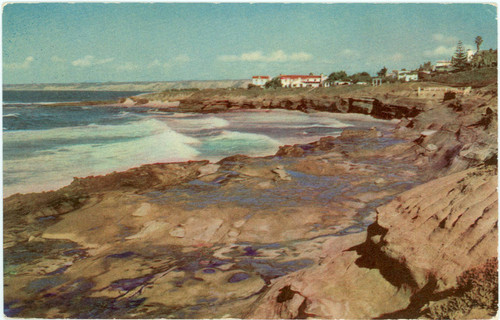 Scene Along La Jolla Cliffs, San Diego, Calif