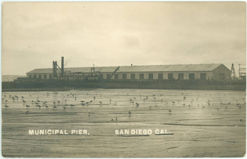 Municipal Pier, San Diego Cal