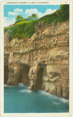 Cormorant's Granny, La Jolla, California