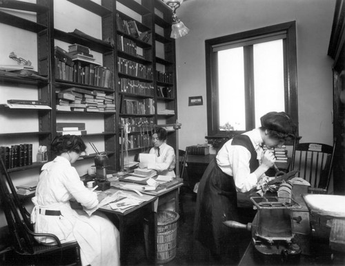 Mendery and Bindery, Carnegie Library Building, San Diego Public Library, 1913