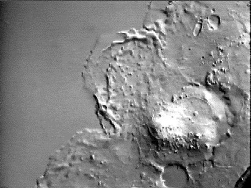 CIL:37333, epidermal cell — Calisphere