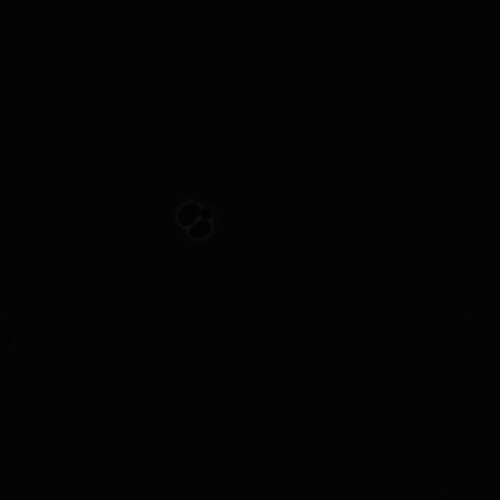 CIL:35838, Saccharomyces cerevisiae