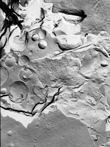 CIL:13150, Micrasterias denticulata