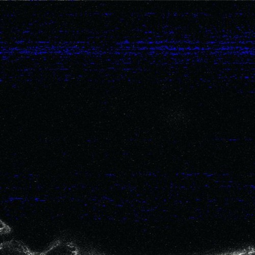 CIL:14564, Arabidopsis thaliana