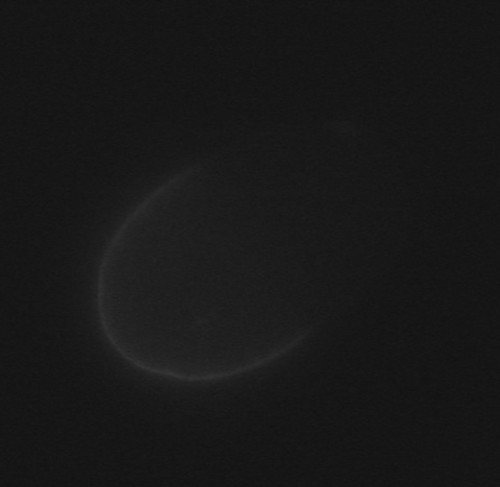 CIL:37934, Caenorhabditis elegans, early embryonic cell