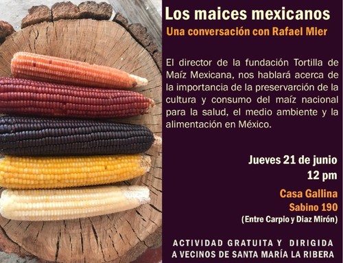 Fernando Mier: Los maices mexicanos